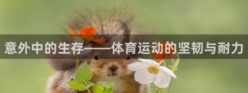 意昂体育3