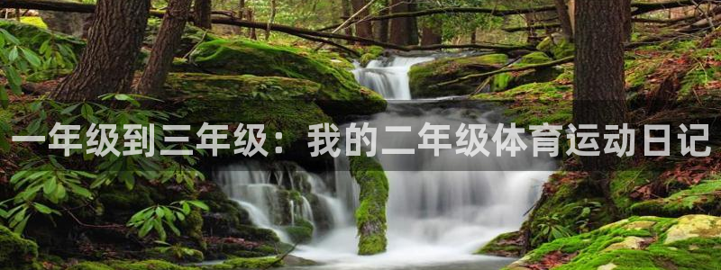 杭州意昂科技有限公司
