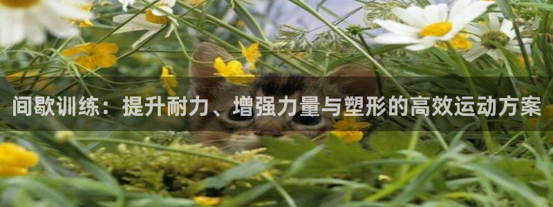 杏宇体育