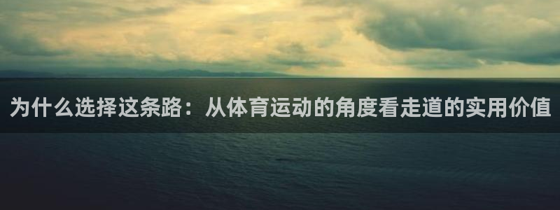 杏宇代理注册官网入口