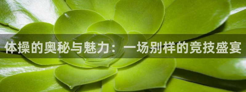 意昂官网注册