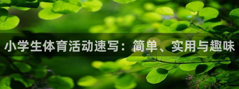 杏宇凯捷开号链接