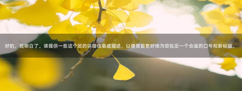 杏宇2平台登录