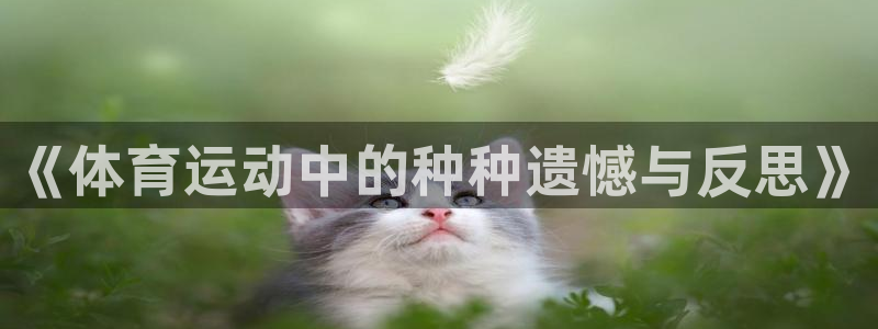 意昂3平台