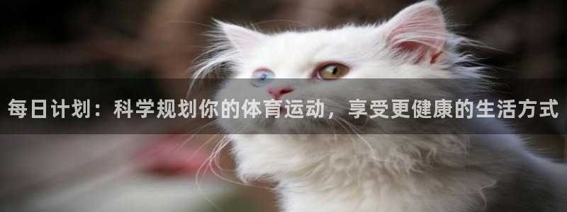 杏宇2体育登录入口