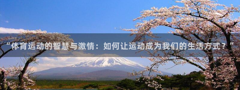 杏宇体育热门赛事有哪些