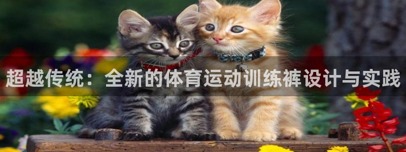 福建意昂机电股份公司