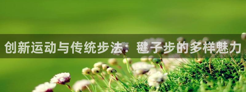 杏宇代理注册